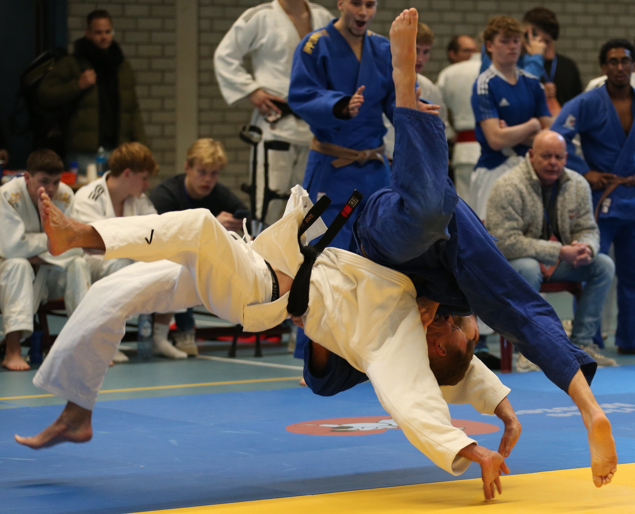 54306449757_007d745b16_k